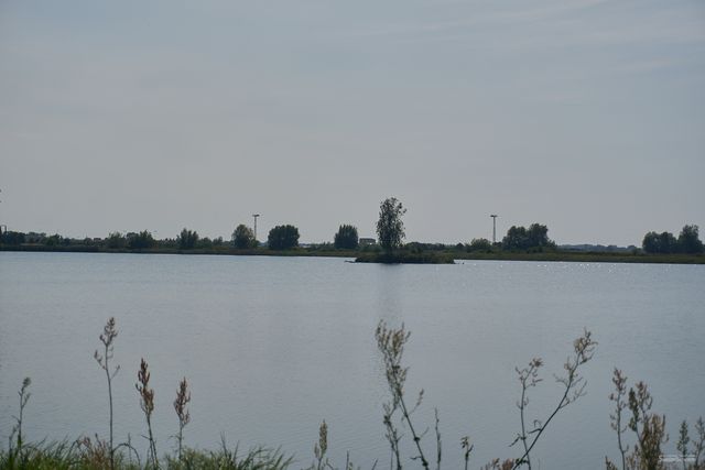 slajd 83.jpg